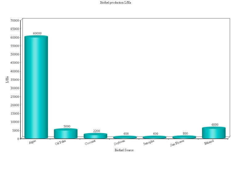 Biofuel Production L/Ha